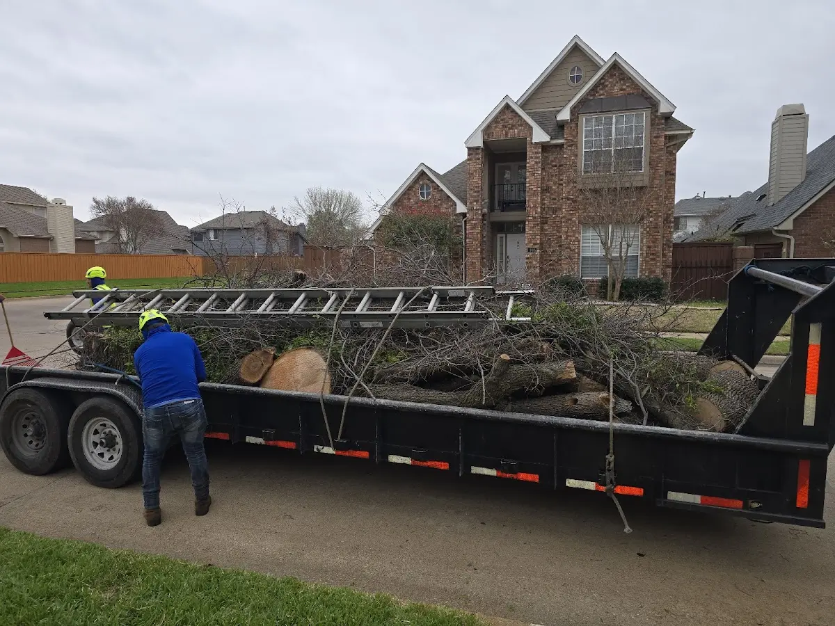 Expert Lot Clearing with proper safety equipment in Carter